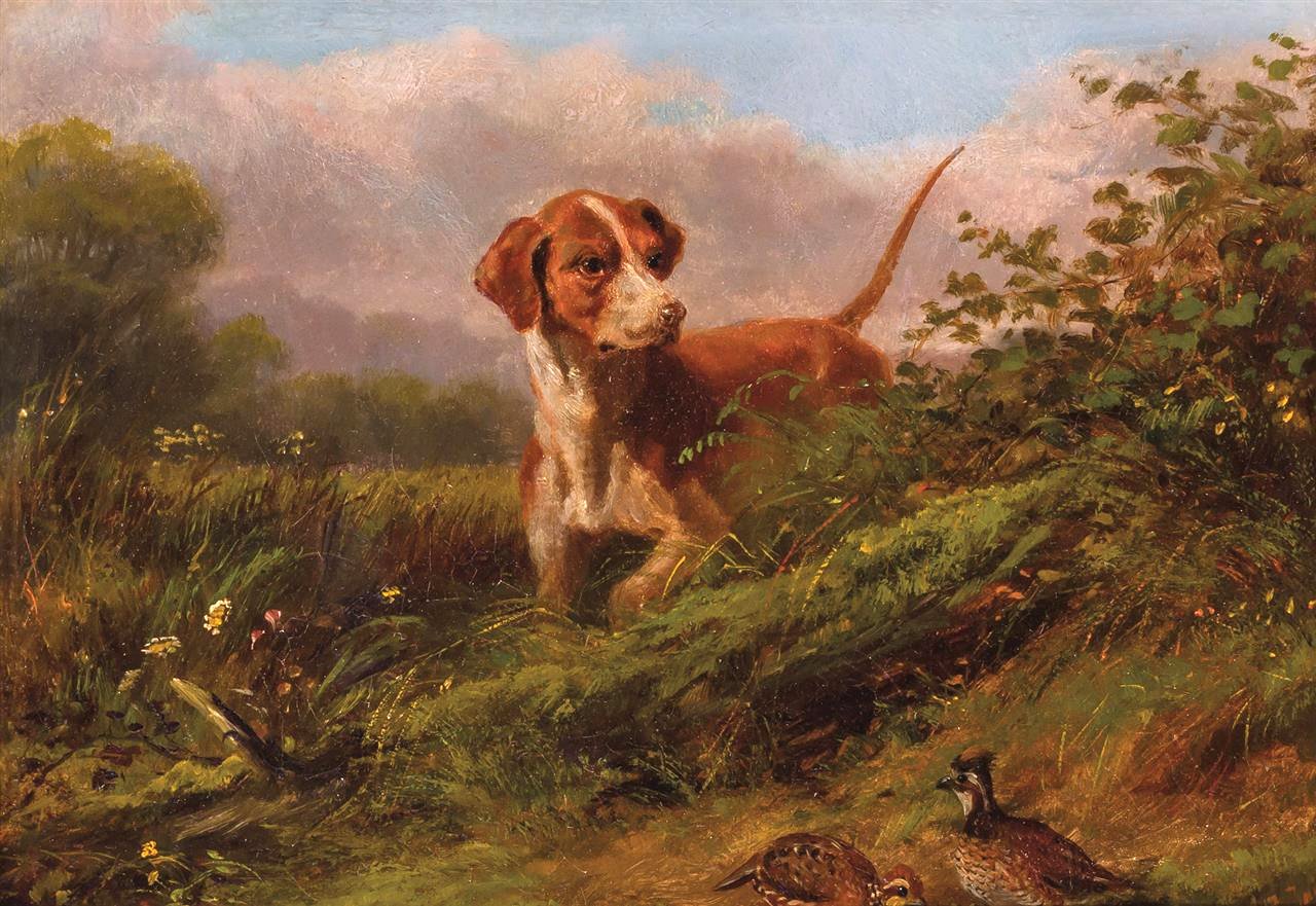 Arthur Fitzwilliam Tait - Dog and Snipe
